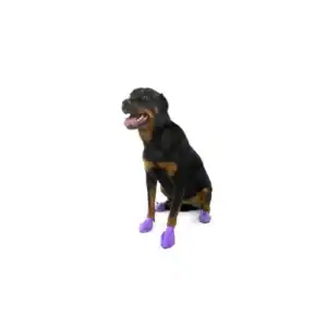 chaussures de protection pour chien Pawz.